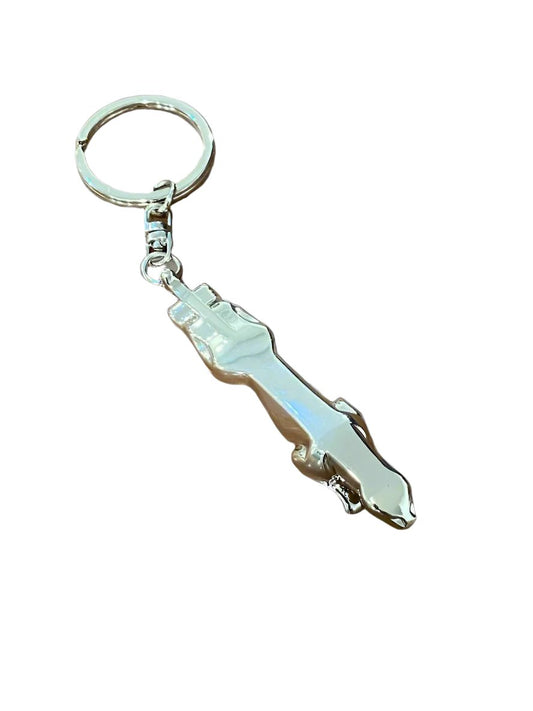 MrZ Key Rings