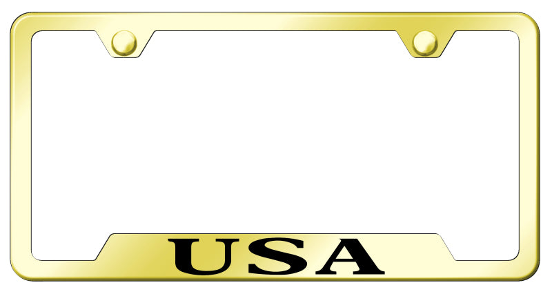 USA Cut-Out Frame - Laser Etched Gold