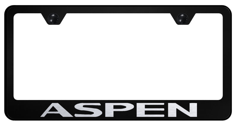 Aspen Stainless Steel Frame - Laser Etched Black