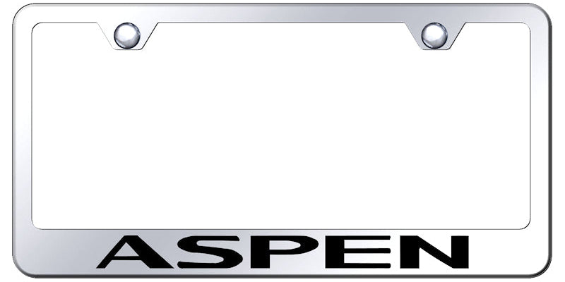 Aspen Stainless Steel Frame - Laser Etched Mirrored