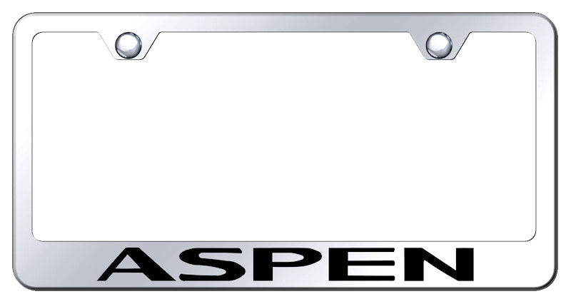 Aspen Stainless Steel Frame - Laser Etched Mirrored