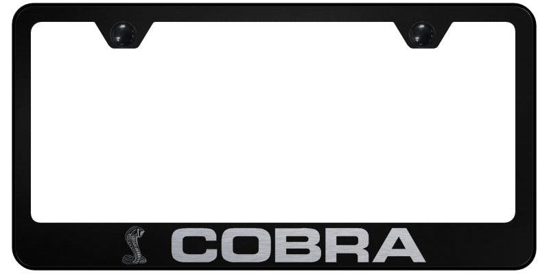 Cobra Stainless Steel Frame - Laser Etched Black