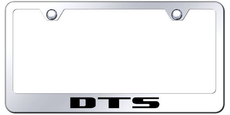 DTS Stainless Steel Frame - Laser Etched Mirrored