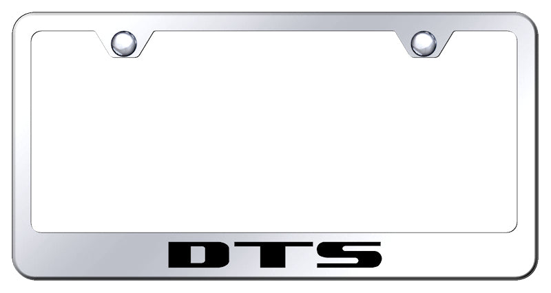 DTS Stainless Steel Frame - Laser Etched Mirrored