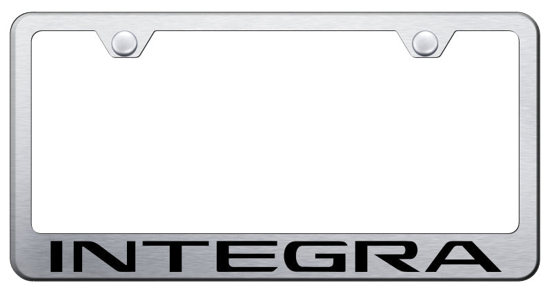 Integra Stainless Steel Frame - Laser Etched Brushed