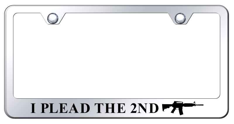 I Plead the Second Stainless Steel Frame - Etched Mirrored