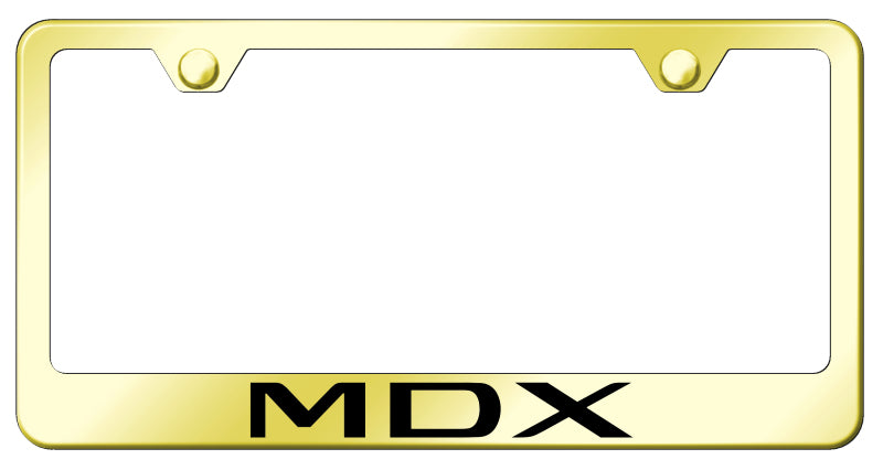 MDX Stainless Steel Frame - Laser Etched Gold