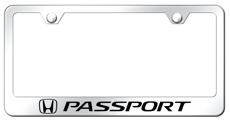 Passport Stainless Steel Frame - Laser Etched Mirrored