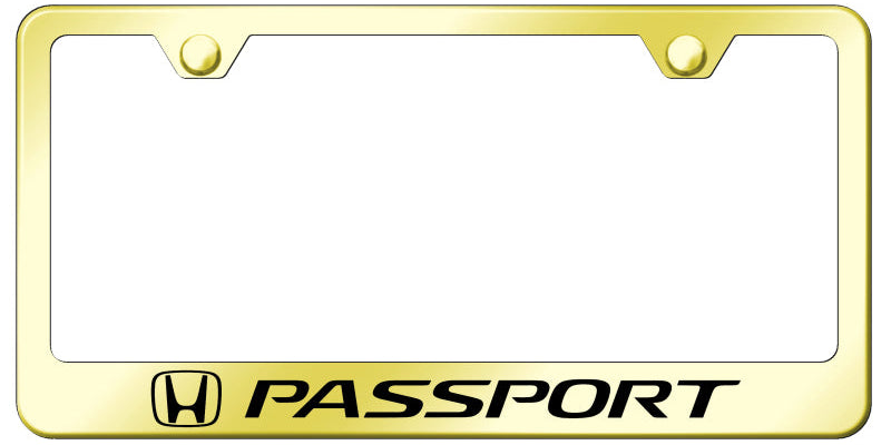 Passport Stainless Steel Frame - Laser Etched Gold