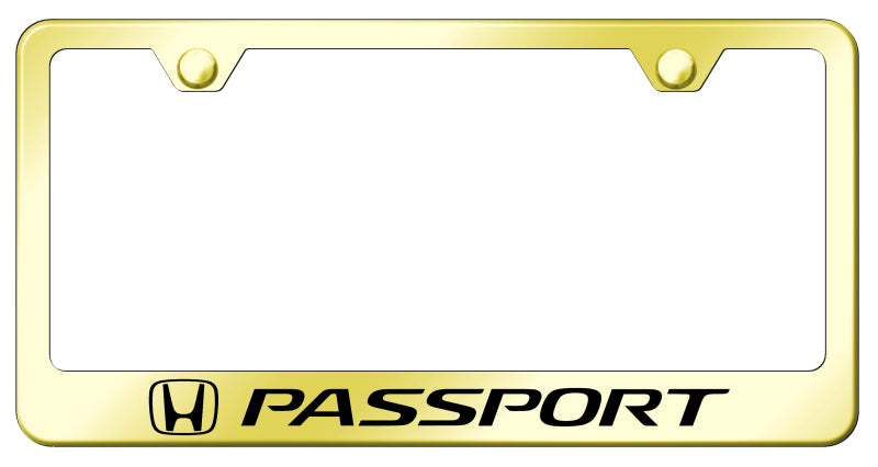 Passport Stainless Steel Frame - Laser Etched Gold