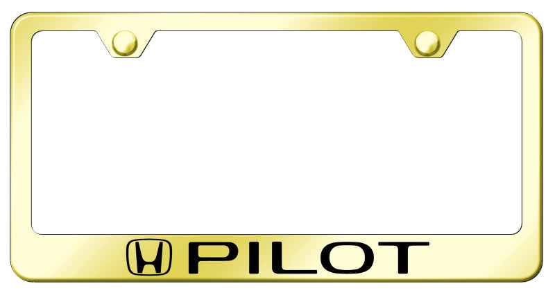 Pilot Stainless Steel Frame - Laser Etched Gold