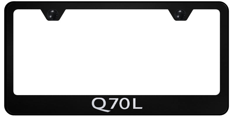 Q70L Stainless Steel Frame - Laser Etched Black