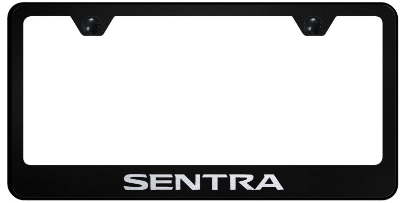 Sentra Stainless Steel Frame - Laser Etched Black