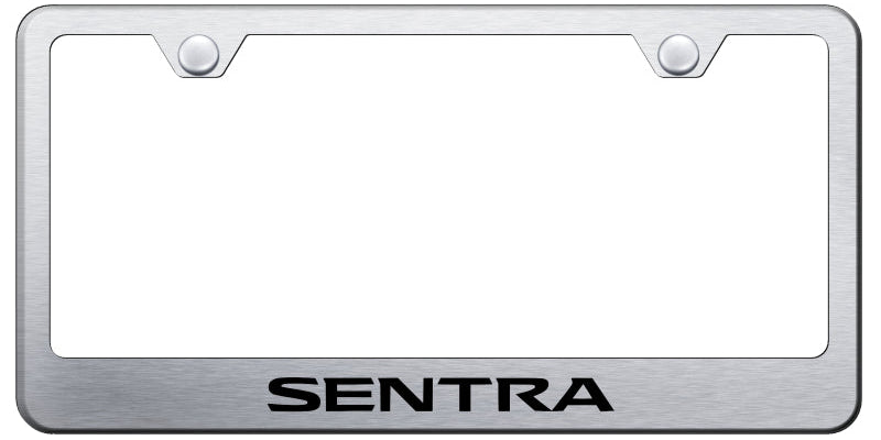 Sentra Stainless Steel Frame - Laser Etched Brushed