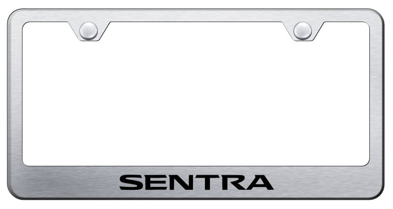 Sentra Stainless Steel Frame - Laser Etched Brushed