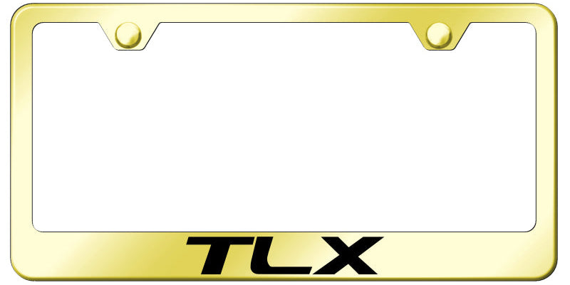 TLX Stainless Steel Frame - Laser Etched Gold