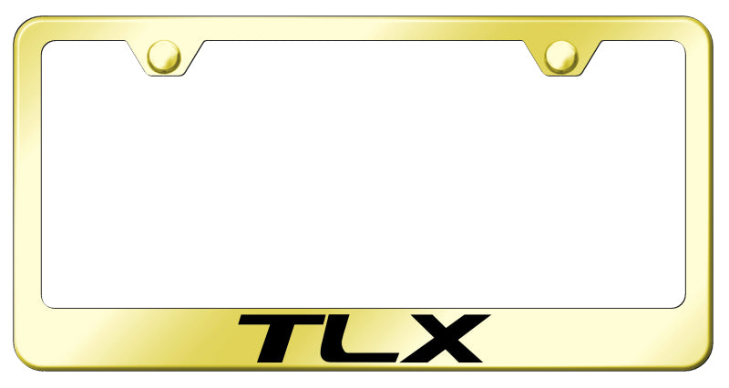 TLX Stainless Steel Frame - Laser Etched Gold