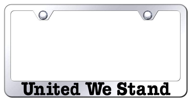 United We Stand Stainless Steel Frame - Etched Mirrored